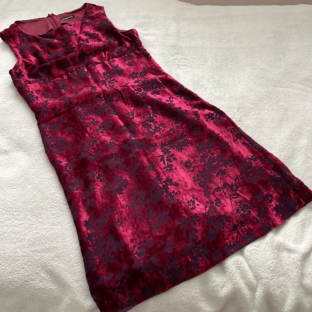 Vintage Japanese Brigitte Burnt Velvet Dress